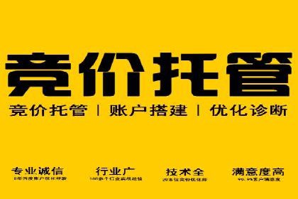 成功案例：SEM竞价代运营助力企业实现持续增长